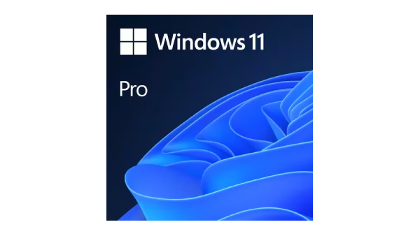 Microsoft Windows 11 Pro (10-Year)